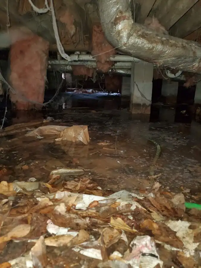 Crawl space flood assessment for Leak Detection & Repair in Great Neck Plaza